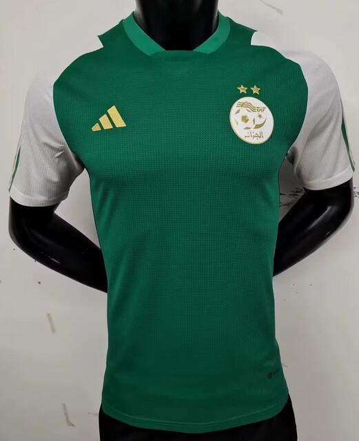 Algeria 2023/24 Green White Match Version Training Shirt