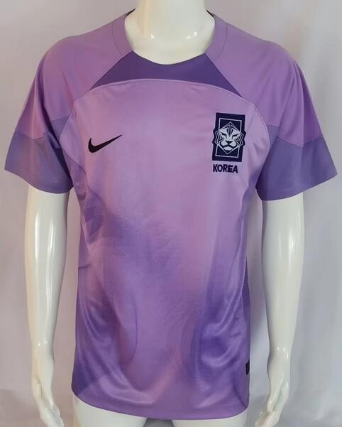 South Korea 2022 World Cup Goalkeeper Purple Shirt Soccer Jersey