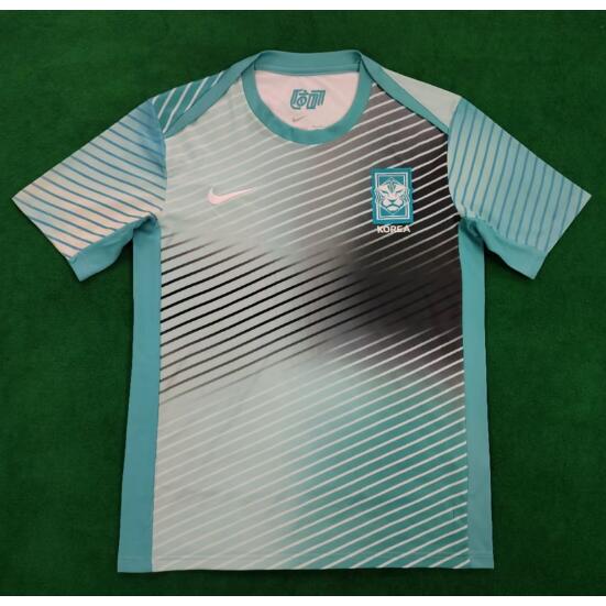 South Korea 2024/25 Green Training Shirt