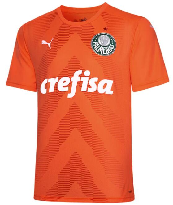 Camisa Palmeiras 2022/223 Goalkeeper Orange Shirt Soccer Jersey