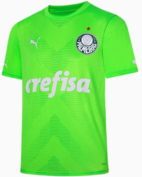 Camisa Palmeiras 2023/24 Goalkeeper Green Shirt Soccer Jersey