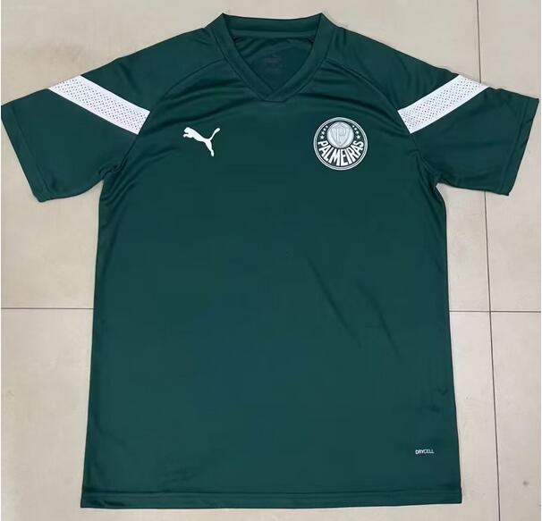 Camisa Palmeiras 2022/23 Green Training Shirt