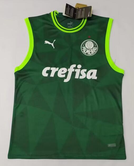 Palmeiras 2023/24 Green Vest Shirt Soccer Jersey