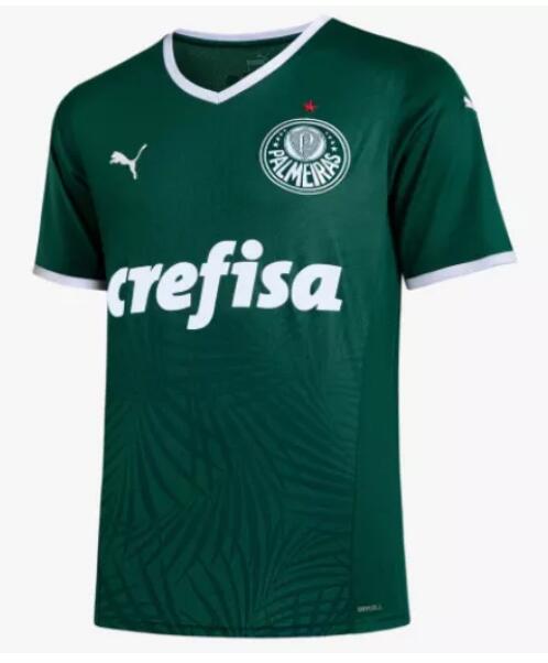Camisa Palmeiras 2022/223 Home Match Version Shirt Soccer Jersey