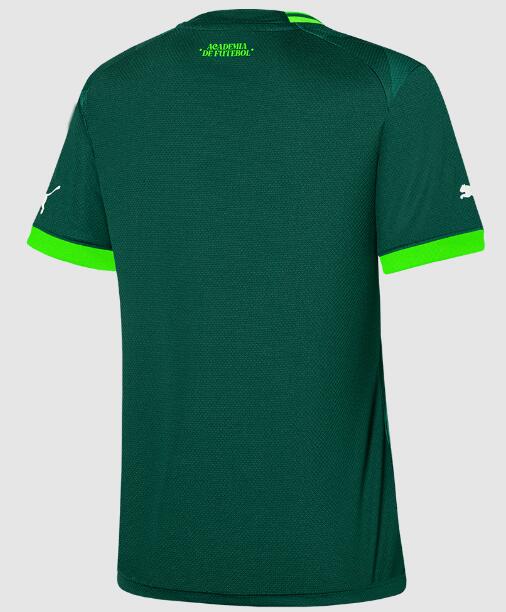 Camisa Palmeiras 2023/24 Home Women Shirt Soccer Jersey
