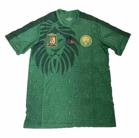Cameroon 2019 Africa Cup Home Shirt Soccer Jersey