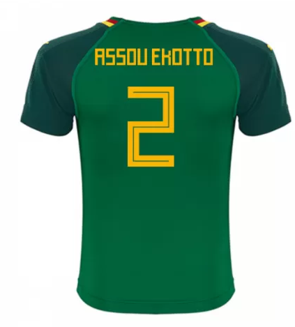 Cameroon 2018 World Cup Home Assou Ekotto Shirt Soccer Jersey