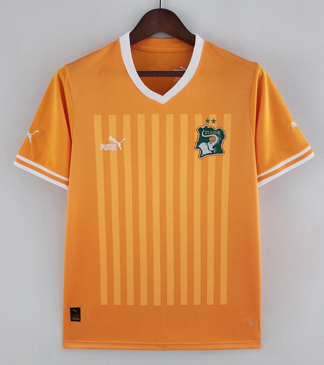 Ivory Coast 2022 World Cup Home Shirt Soccer Jersey