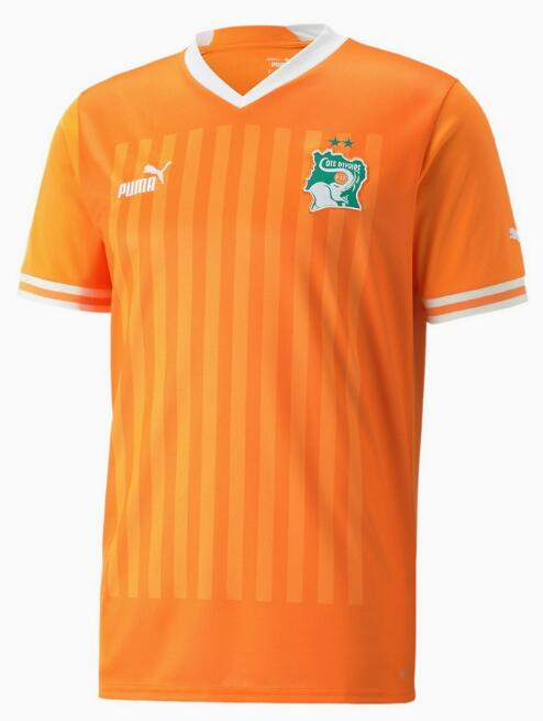 Ivory Coast 2022 World Cup Home Shirt Soccer Jersey