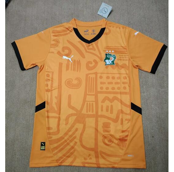 Ivory Coast 2024/25 Home Shirt Soccer Jersey