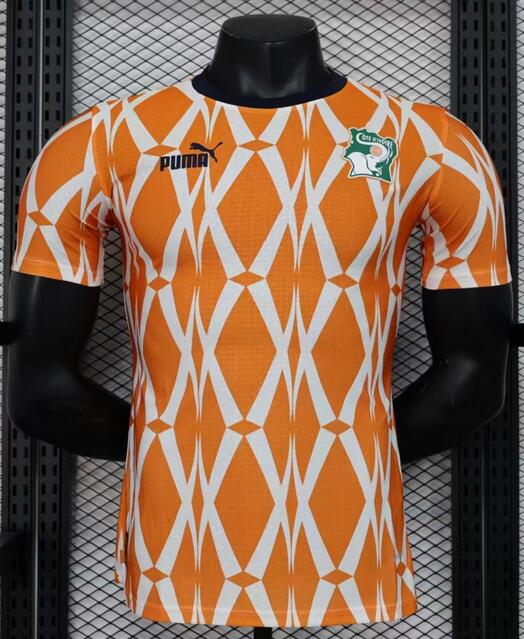 Ivory Coast 2023/24 Home Match Version Shirt Soccer Jersey