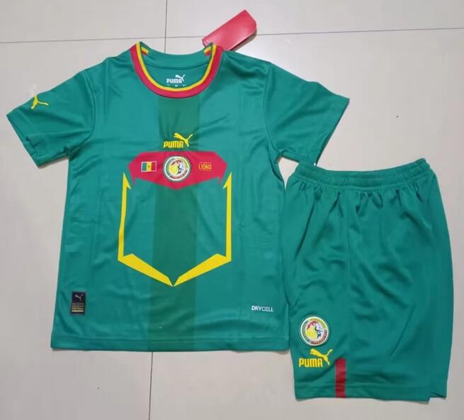 Senegal 2022 World Cup Away Kids Soccer Kit Children Shirt And Shorts