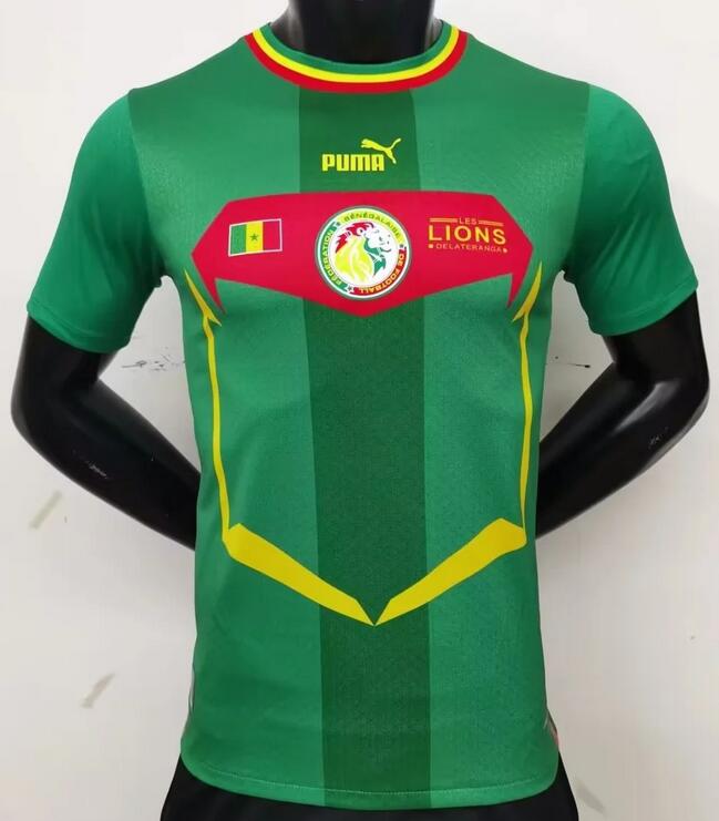 Senegal 2022 World Cup Away Shirt Match Version Soccer Jersey