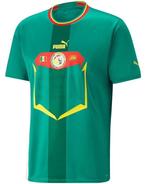 Senegal 2022 World Cup Away Shirt Soccer Jersey