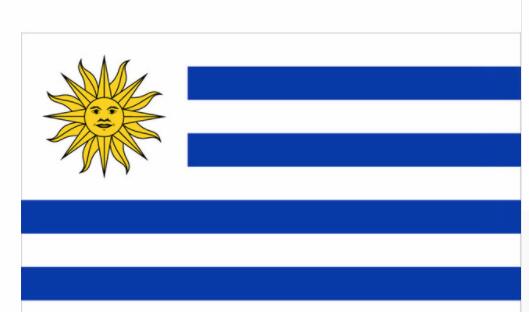 Uruguay National Country Flag