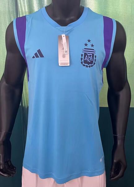 Argentina 2023/24 Blue Vest Training Shirt