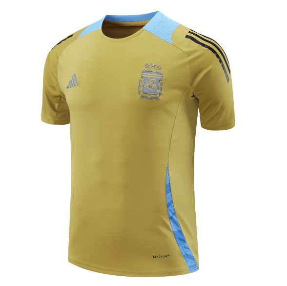 Argentina 2024/25 Gold Training Shirt