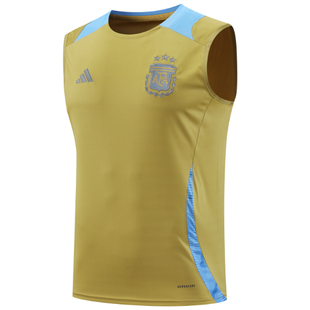 Argentina 2024/25 Gold Training Vest Shirt