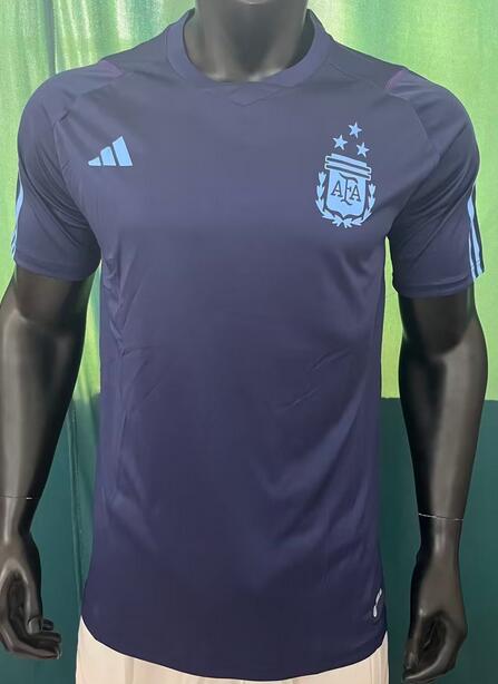 Argentina 2023/24 Grey Match Version Training Shirt