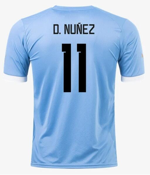 Uruguay 2022/23 World Cup Home 11 D. Nunez Shirt Soccer Jersey