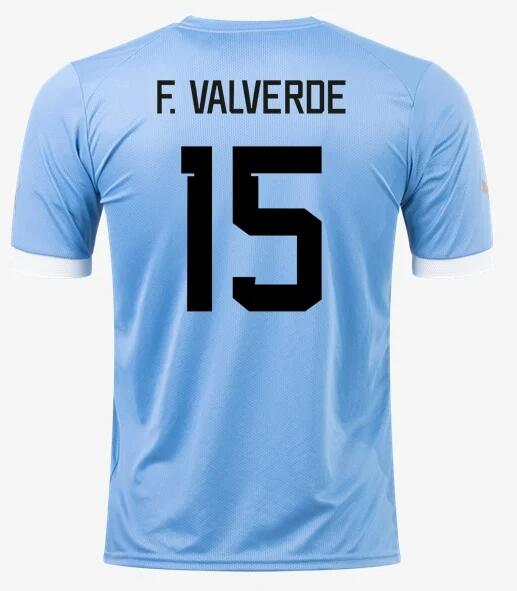 Uruguay 2022/23 World Cup Home 15 F. Valverde Shirt Soccer Jersey