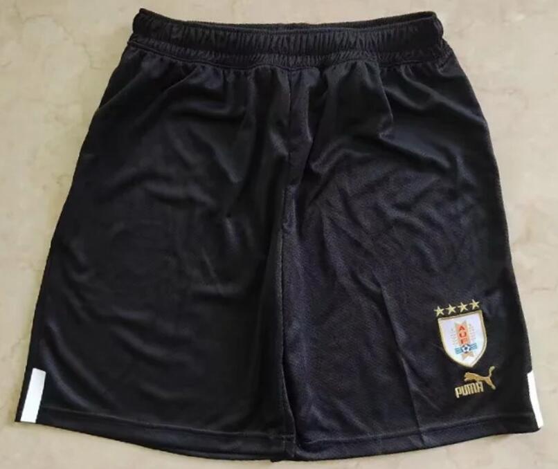 Uruguay 2022/23 World Cup Home Soccer Shorts