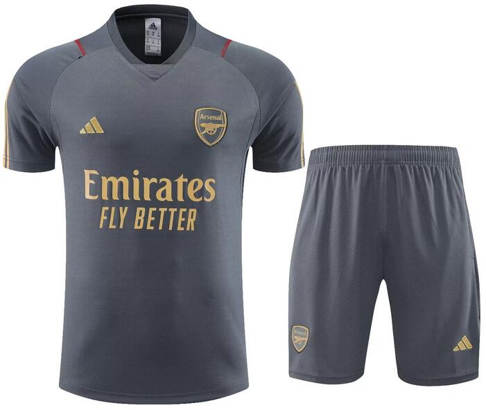 Arsenal 2023/24 Grey Training Uniforms (Shirt+Shorts)