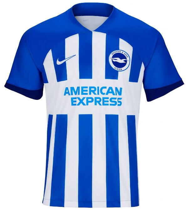 Brighton & Hove Albion 2023/24 Home Shirt Soccer Jersey