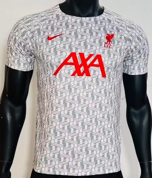 Liverpool 2023/24 Pre-Game Grey Match Version Training Shirt
