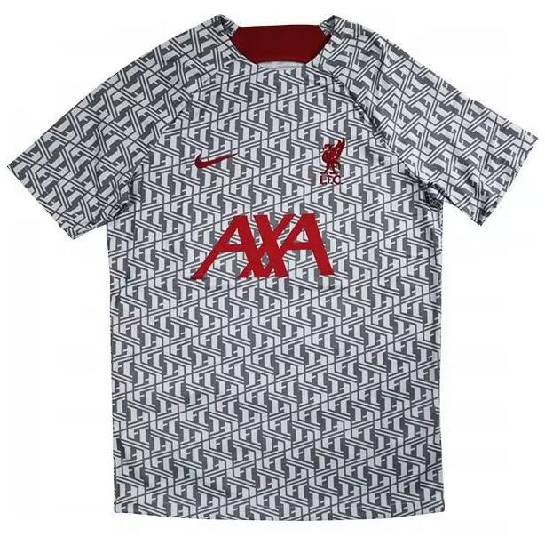 Liverpool 2023/24 Pre-Game Grey Replica Training Shirt