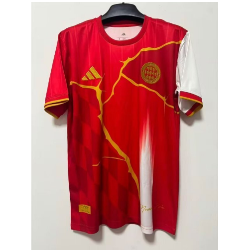 Bayern Munich 2025/26 Special Shirt Soccer Jersey