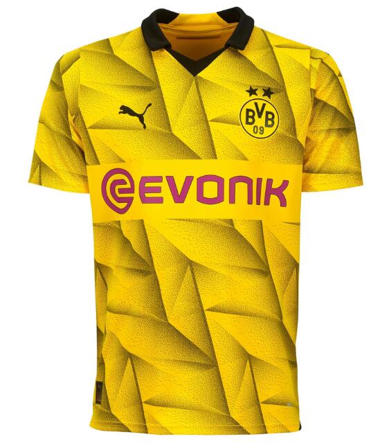 Borussia Dortmund 2023/24 Cup Shirt Soccer Jersey