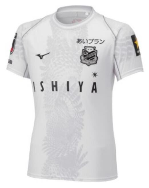 Hokkaido Consadole Sapporo 2023/24 Third Shirt Soccer Jersey