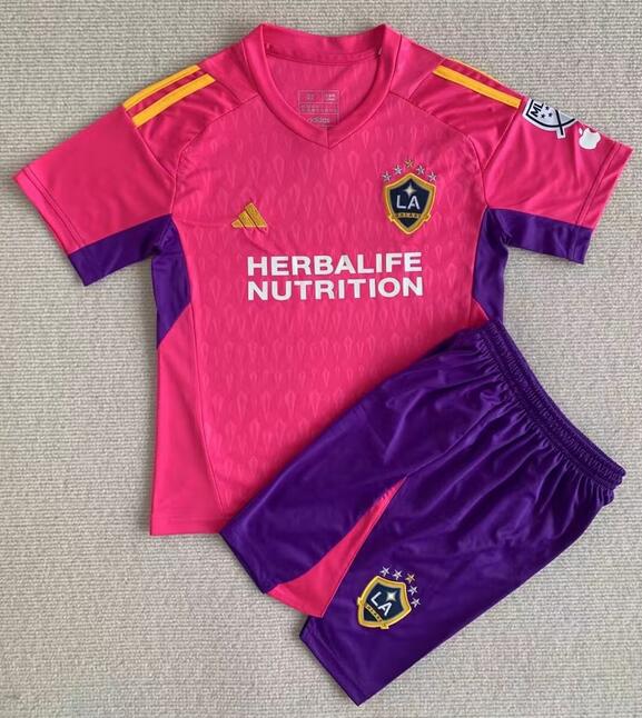 Los Angeles Galaxy 2023/24 Goalkeeper Pink Kids Soccer Jersey Kit Children Shirt + Shorts