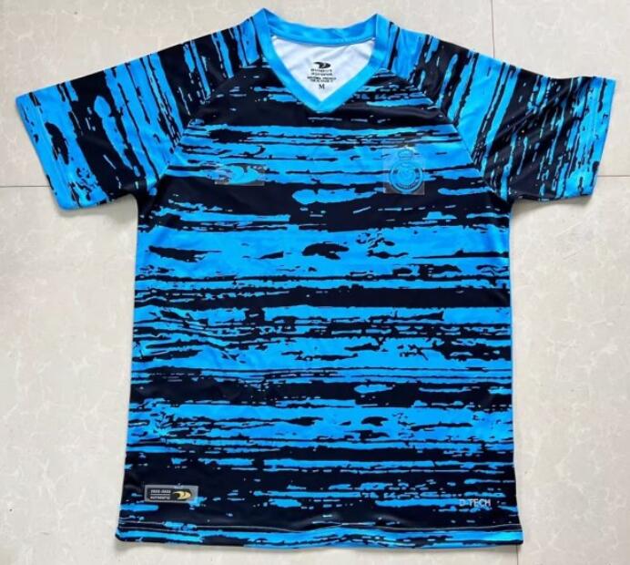 AL-NASSR 2022/23 Blue Training Shirt