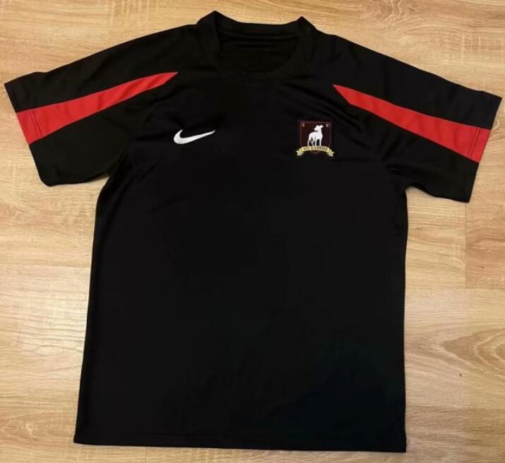 AFC Richmond 2023/24 Black Coach Training Shirt