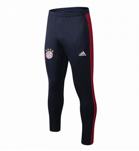 Bayern Munich 2019/20 Blue Training Pants