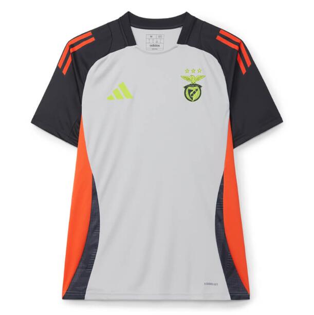 Benfica 2024/25 Grey Training Shirt