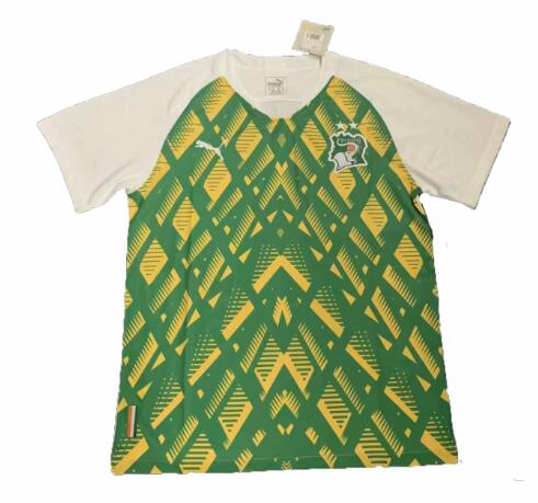 Lvory Coast 2019 Green Training Shirt