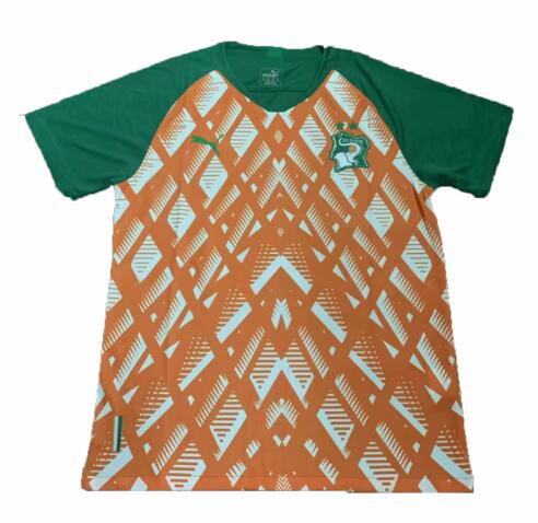 Lvory Coast 2019 Orange Training Shirt