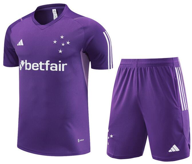 Cruzeiro 2023/24 Purple Training Uniforms (Shirt+Shorts)