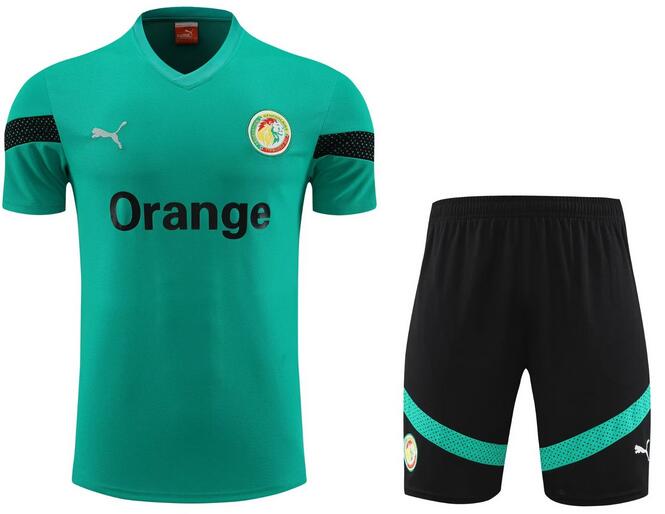 Senegal 2023/24 Green Training Uniforms (Shirt+Shorts)