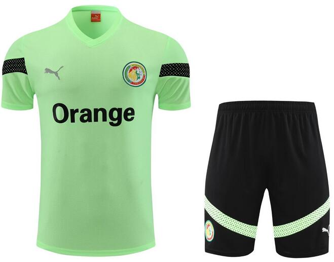 Senegal 2023/24 Light Green Training Uniforms (Shirt+Shorts)