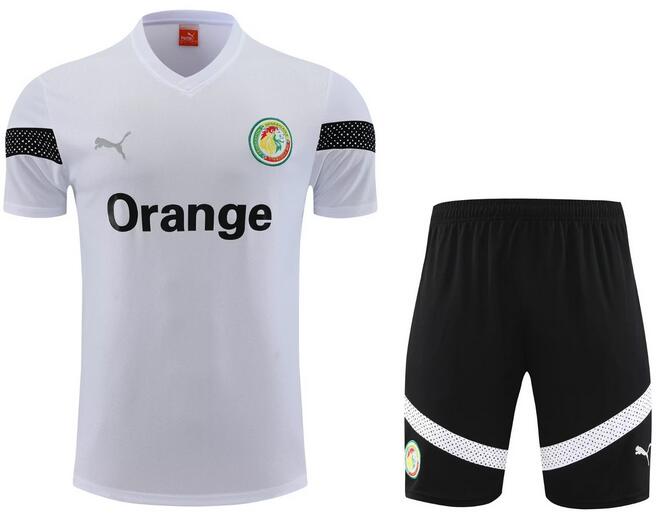 Senegal 2023/24 White Training Uniforms (Shirt+Shorts)