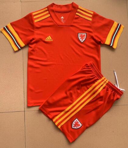 Wales 2020/21 Home Kids Soccer Kit Children Shirt And Shorts