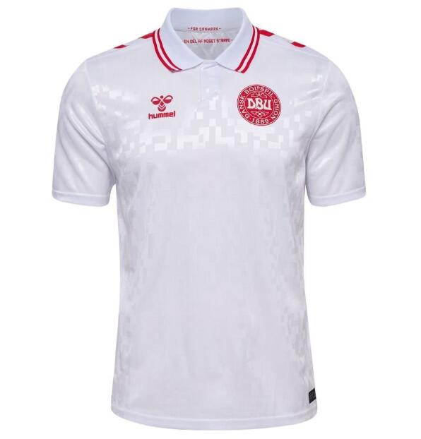 Denmark 2024 Euro Cup Away Shirt Soccer Jersey