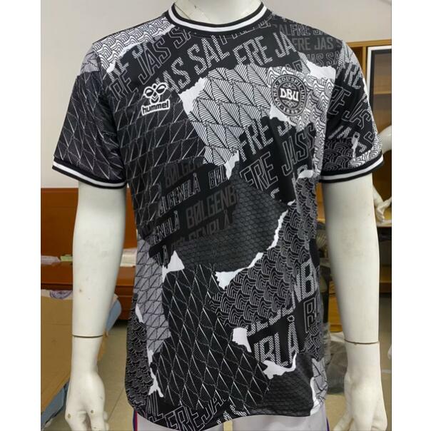 Denmark 2024 Euro Cup Black Training Shirt