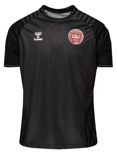 Denmark 2022 World Cup Goalkeeper Black Shirt Soccer Jersey