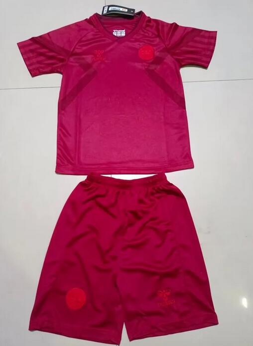 Denmark 2022 World Cup Home Kids Soccer Kit Children Shirt And Shorts