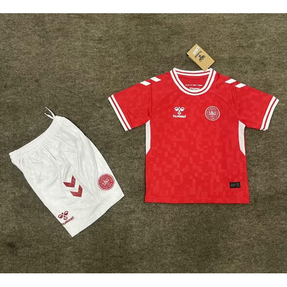 Denmark 2024 Euro Cup Home Kids Soccer Kit Children Shirt And Shorts